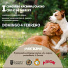Torrent se prepara para el ‘I Concurso Nacional Canino Ciutat de Torrent’