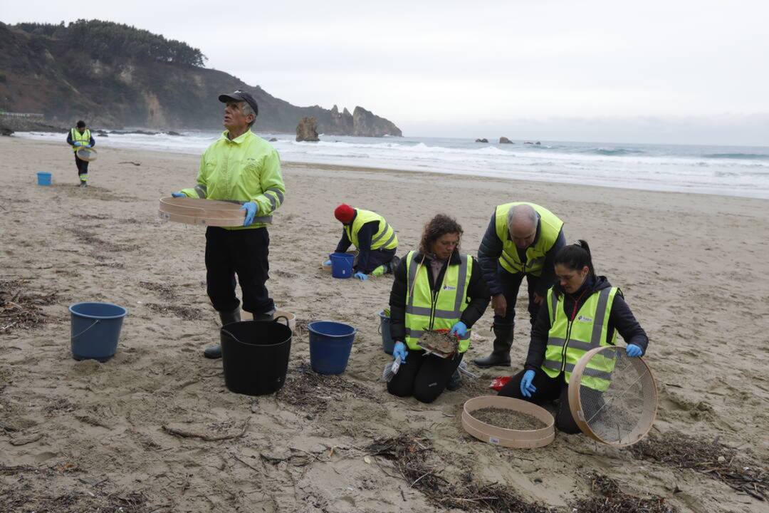 Operarios de TRAGSA recogen pellets de plástico, en la playa de Aguilar, en Muros de Nalón, Asturias.