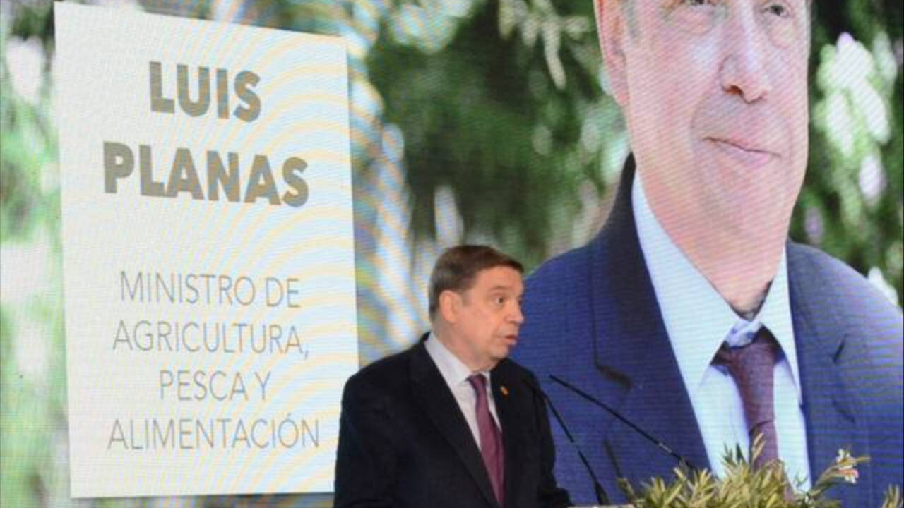 El ministro de Agricultura, Luis Planas (PSOE), durante la gala Evooleum Awards.