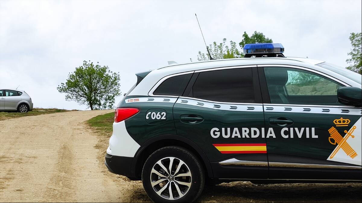 La mujer fue encontrada sin vida en un camino entre las localidades de Roales del Pan y La Hiniesta tras el ataque de los perros.