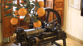 Burriana reactiva el Museo de la Naranja