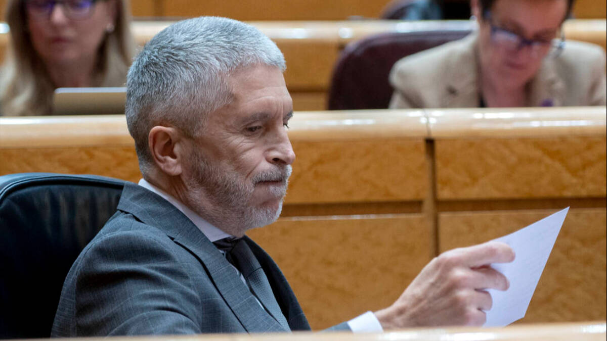El ministro de Interior, Fernando Grande-Marlaska, durante la sesión de control al Gobierno en el Senado.