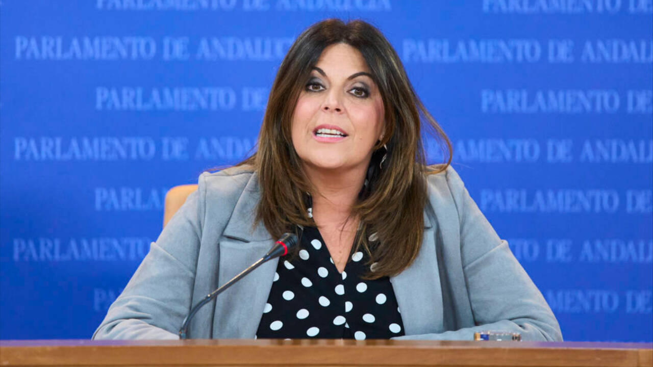 La portavoz del Grupo Parlamentario Socialista, Ángeles Férriz.