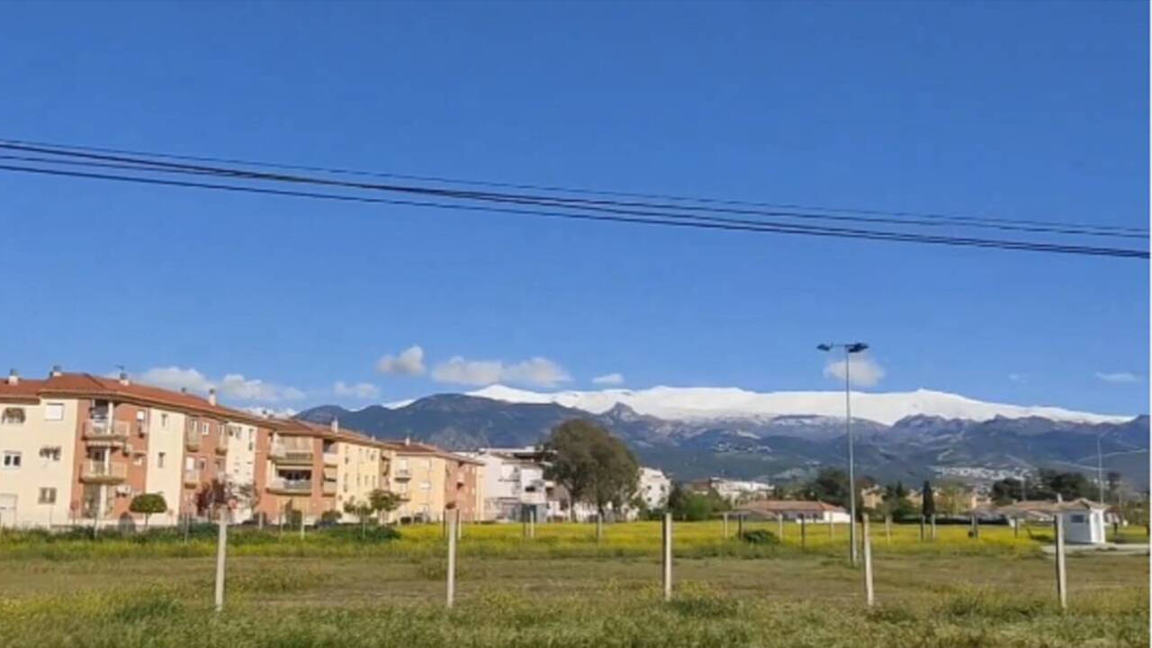 Terrenos en los que el Gobierno planea instalar un campamento de inmigrantes en Alhendín, Granada.