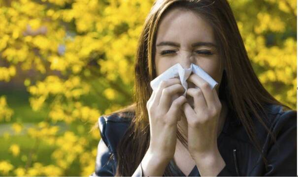 ¿Por qué aumenta la alergia al polen?