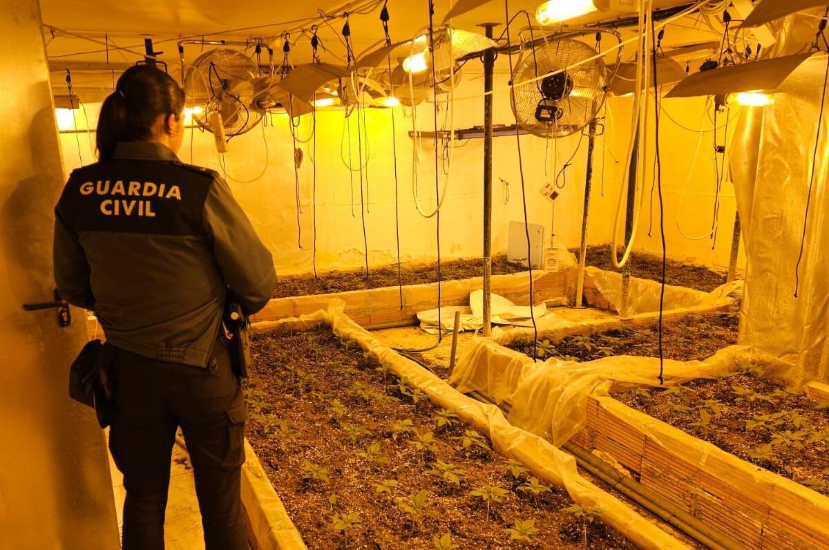 Detenidas 11 personas por tráfico de drogas e intervenidas 400 plantas de marihuana y 576 gramos de cocaína