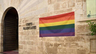 El PSPV votará en contra de colgar la bandera LGTBI en Les Corts