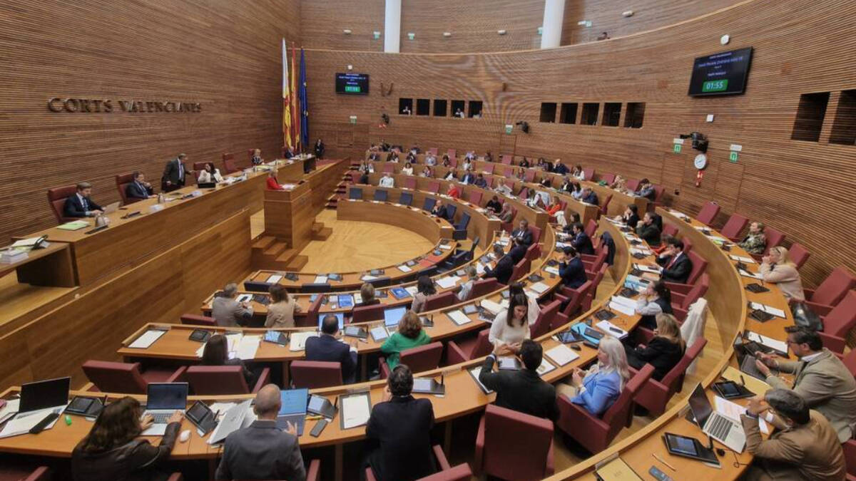 Pleno de Les Corts Valencianes / ESdiario - Sonia García