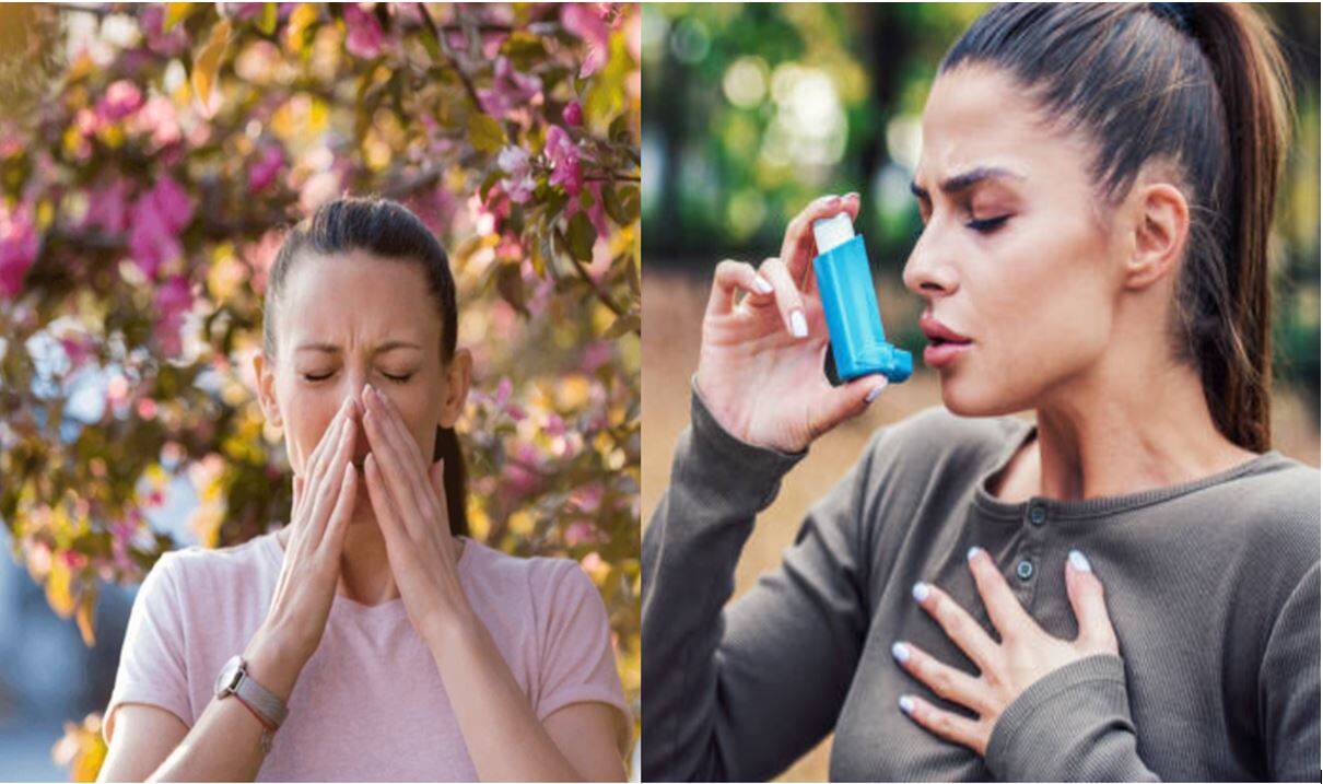 Diferencias entre alergia y asma